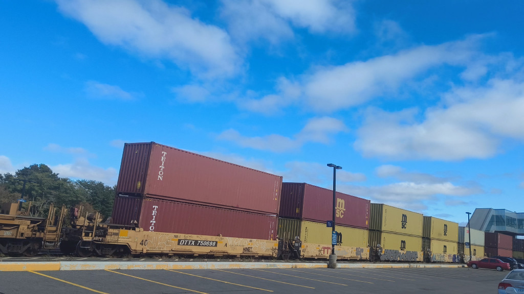 DTTX 750698 (5 Section Well Car Altogther)